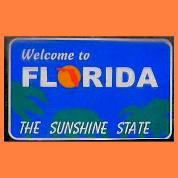 WELCOME TO MY PALACE! - Picture 2 of 4